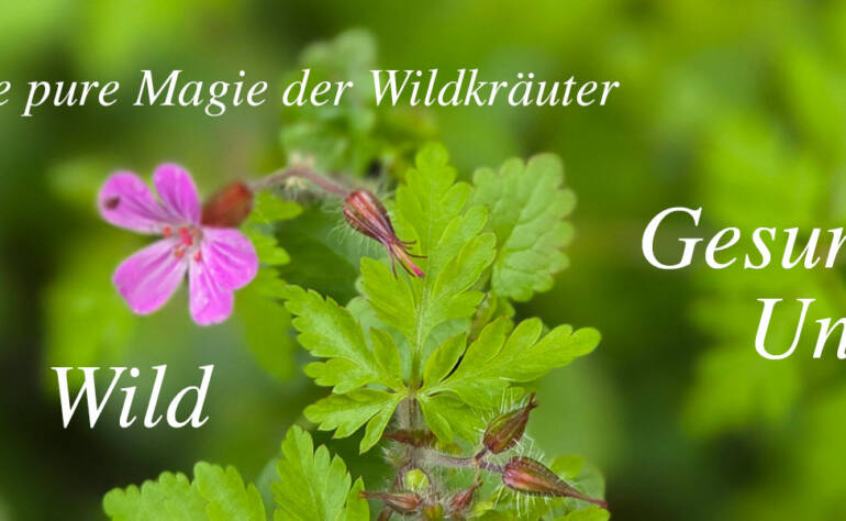 Wildkräuter
